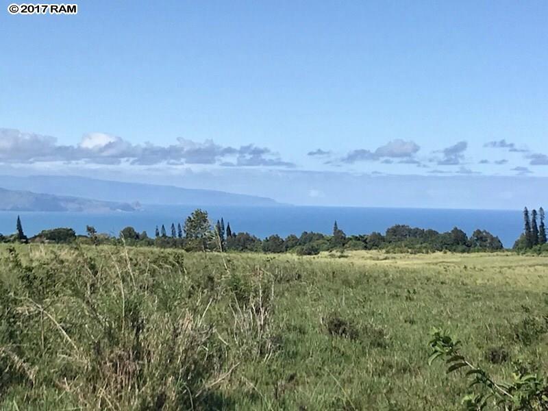 0 Kula Hwy - Photo 1