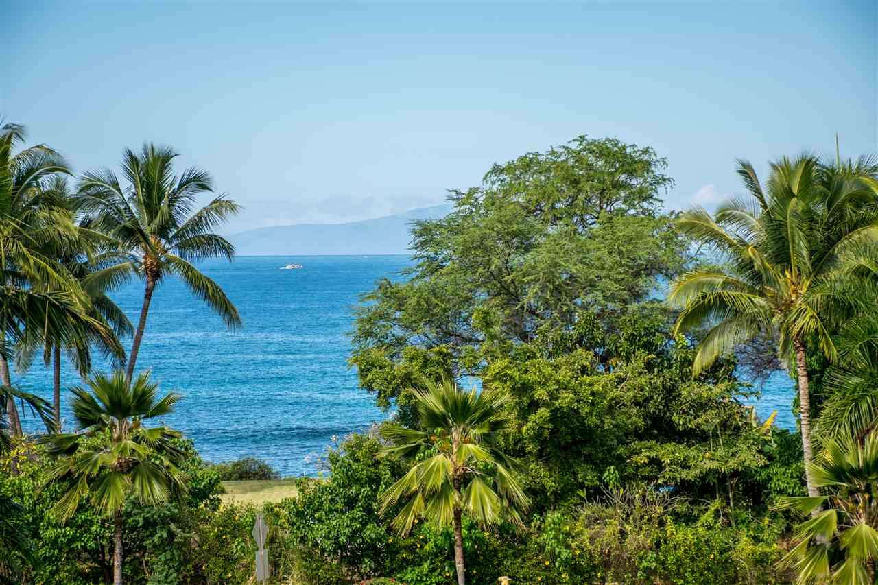 4955 Makena Rd - Photo 1