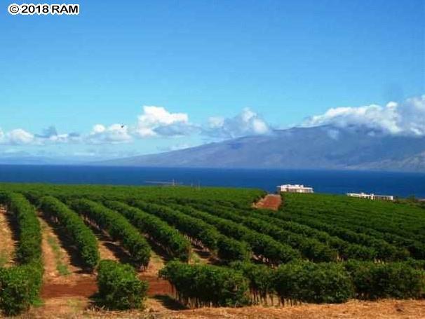 2131 Aina Mahi'ai St - Photo 1