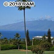 50 Puu Anoano St - Photo 1