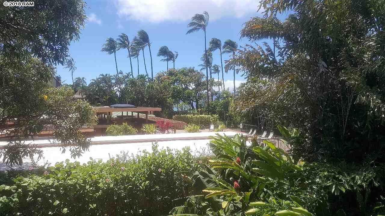 3559 Lower Honoapiilani Rd - Photo 1