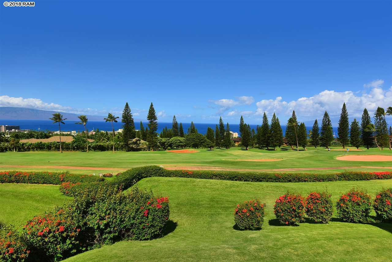 50 Puu Anoano St - Photo 1