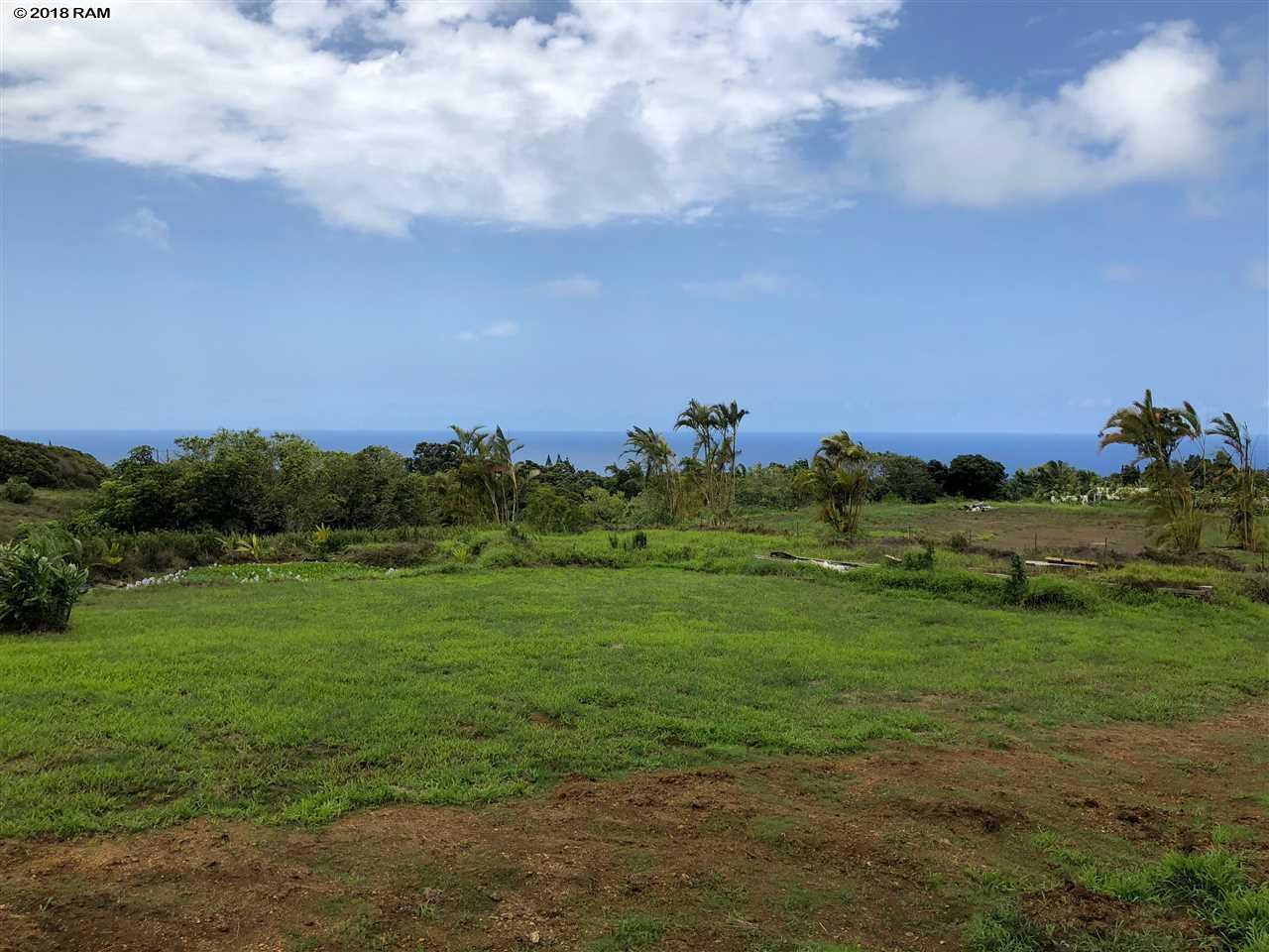 32 Honokala Rd - Photo 1