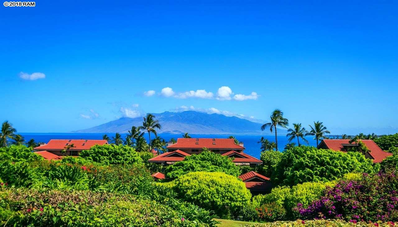 4000 Wailea Alanui Dr - Photo 1