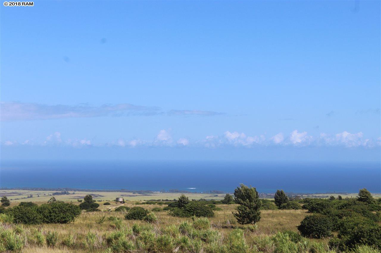 131 Ahuwale Pl - Photo 1