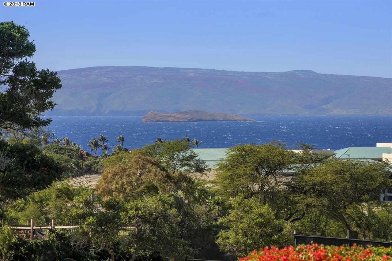 10 Wailea Ekolu Pl - Photo 1