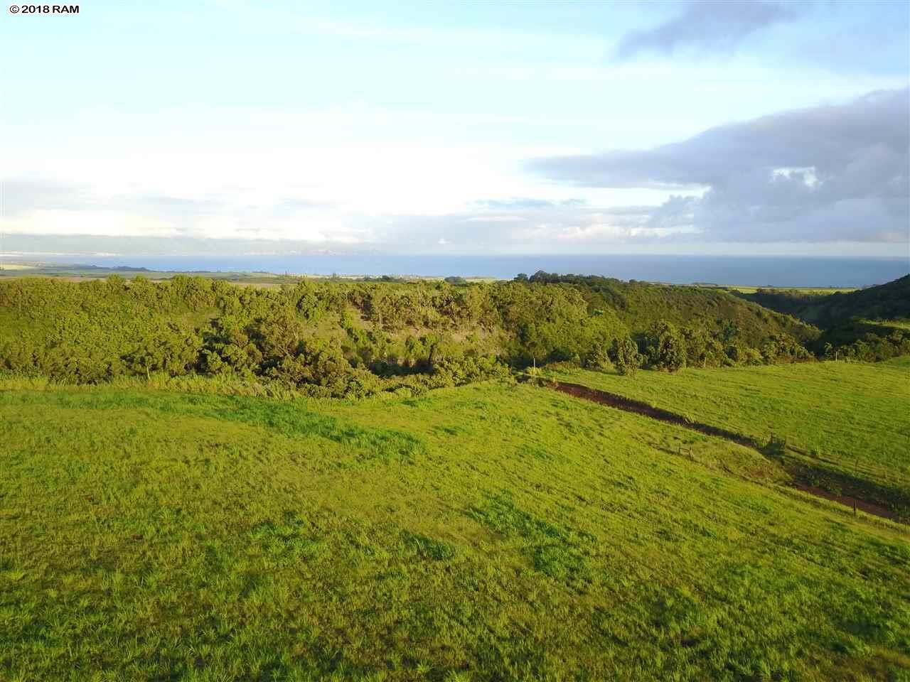 988 Auwaha Pl - Photo 1
