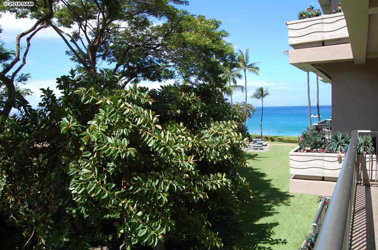 2481 Kaanapali Pkwy - Photo 1