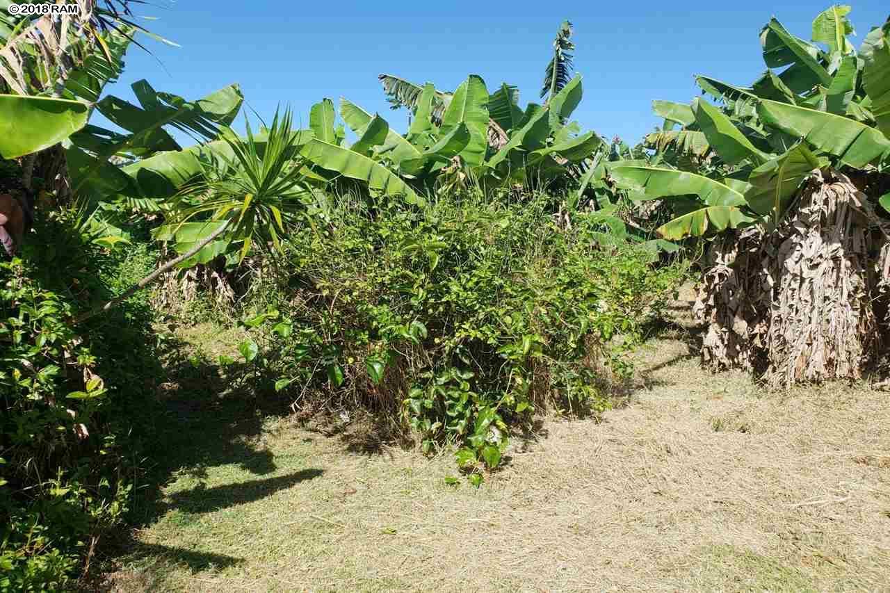 845 Puapana Pl - Photo 1