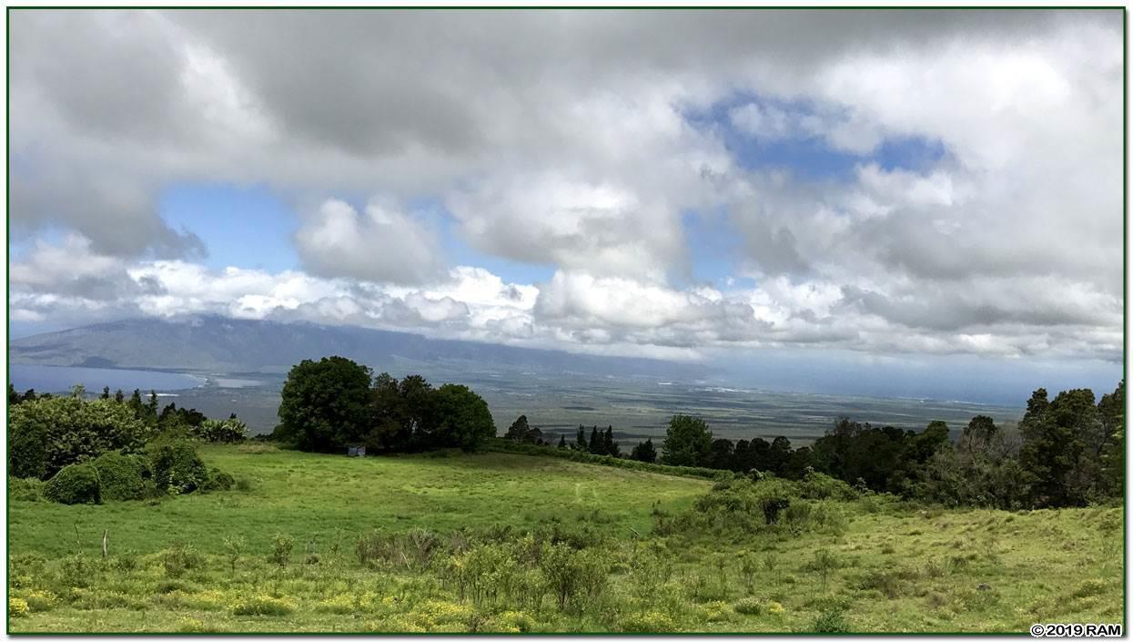 7700 Kula Hwy - Photo 1