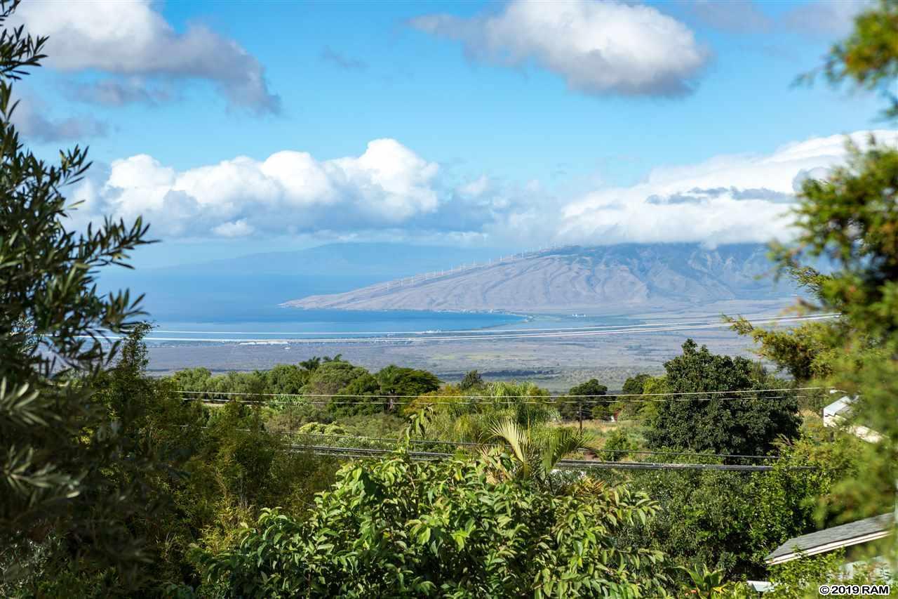 3515 Lower Kula Rd - Photo 1