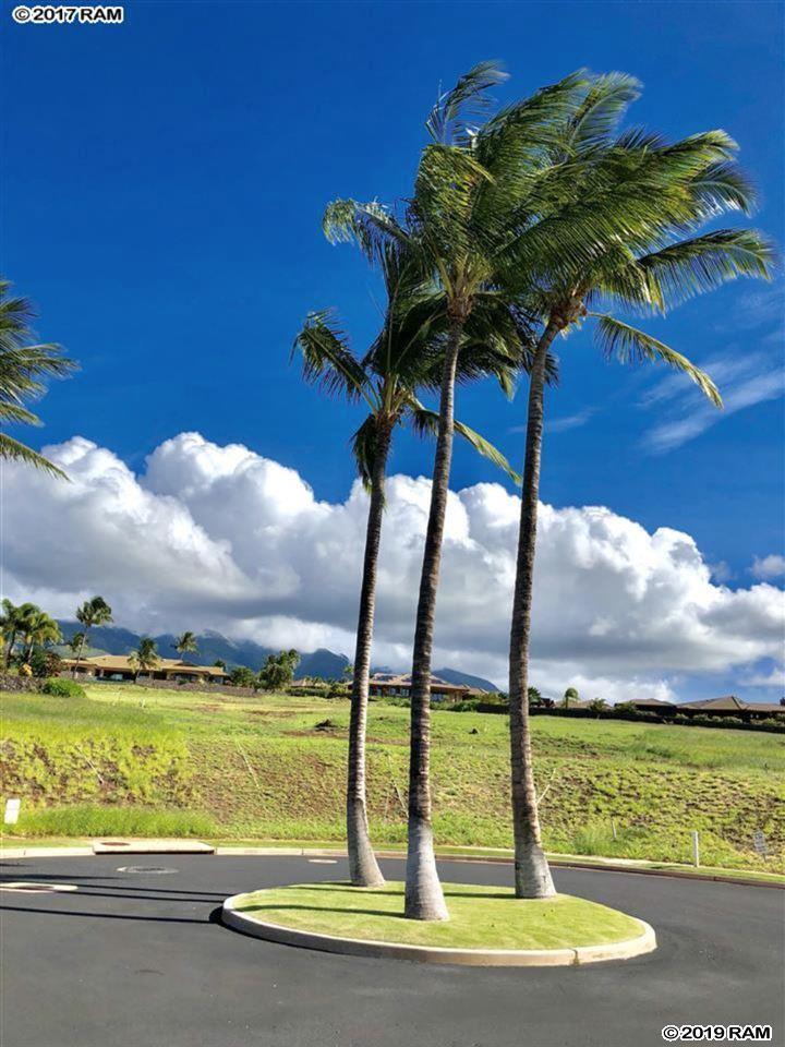 85 Lolii Pl - Photo 1