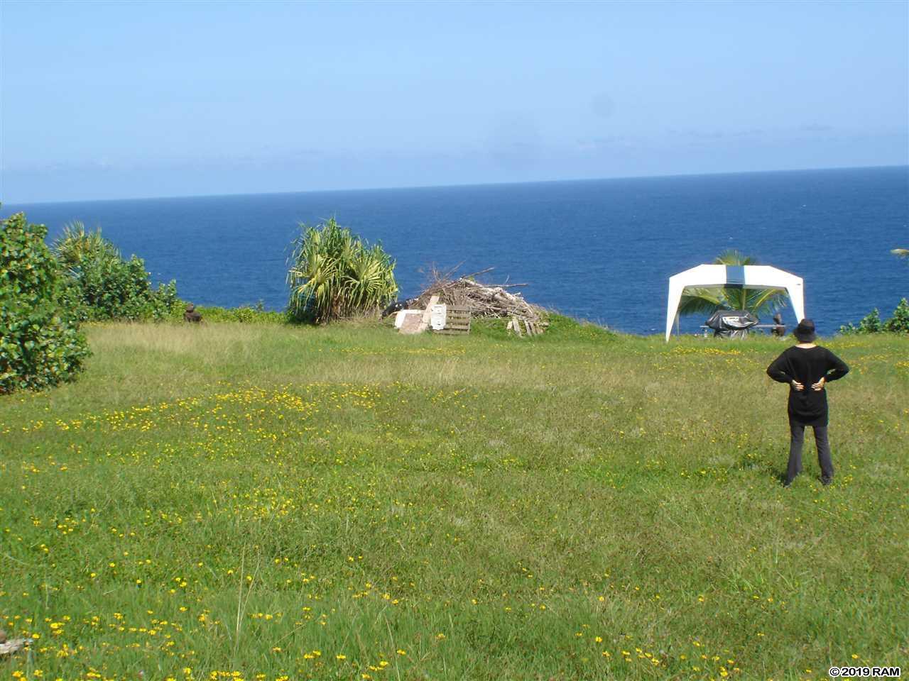 1525 Lower Nahiku Rd Rd - Photo 1