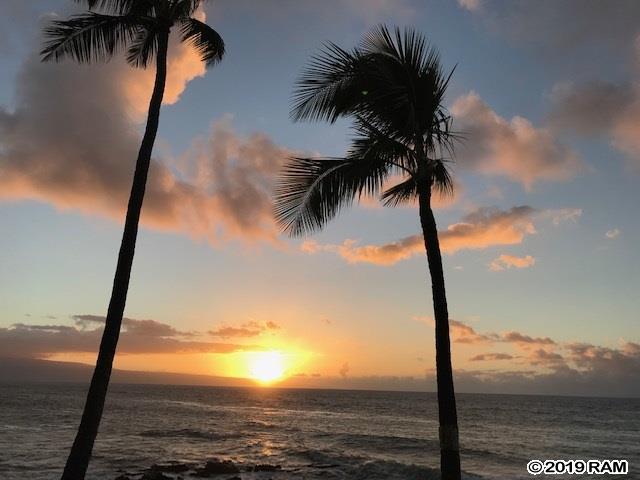 4057 Lower Honoapiilani Rd - Photo 1