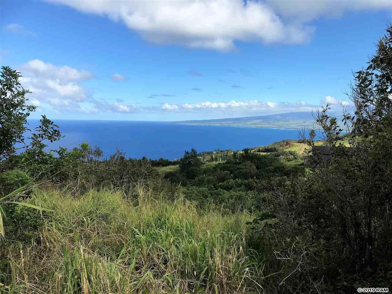 21 Lahaole Pl - Photo 1