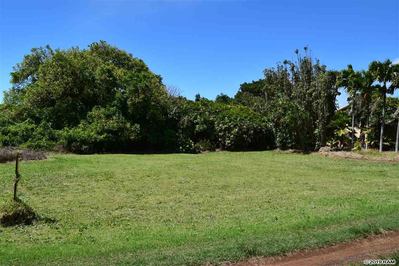 71 Pamakani Pl - Photo 1