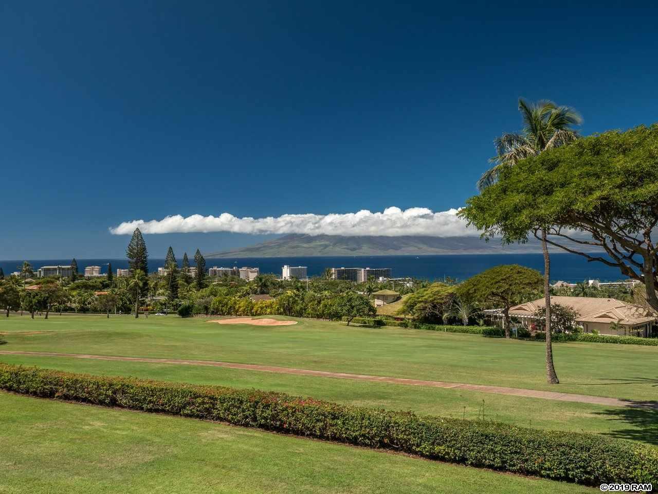 50 Puu Anoano St - Photo 1