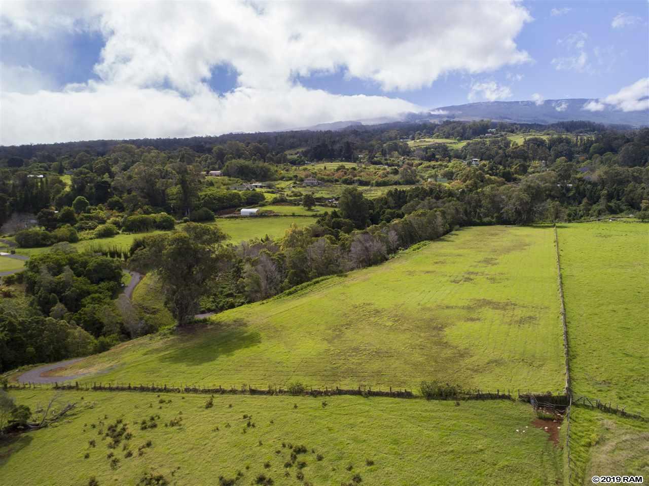 1040 Olinda Rd - Photo 1