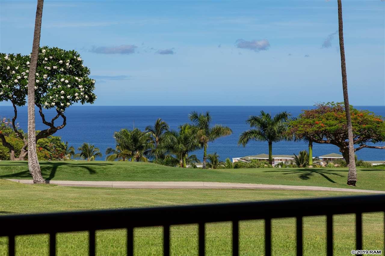 10 Wailea Ekolu Pl - Photo 1