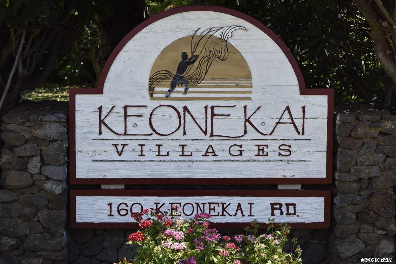 160 Keonekai Rd - Photo 1