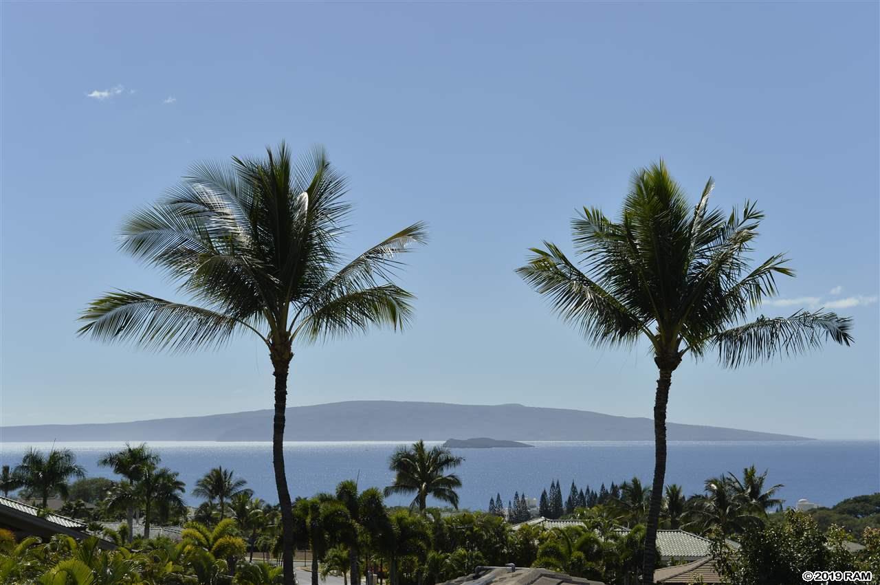 3981 Wailea Ekolu Pl - Photo 1
