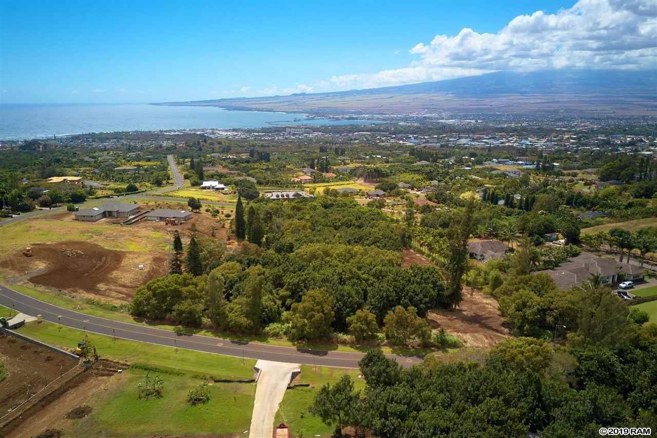 2347 Kamaile St - Photo 1