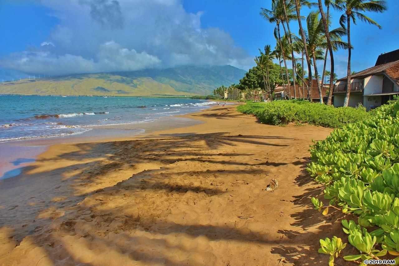 36 Kihei Rd - Photo 1
