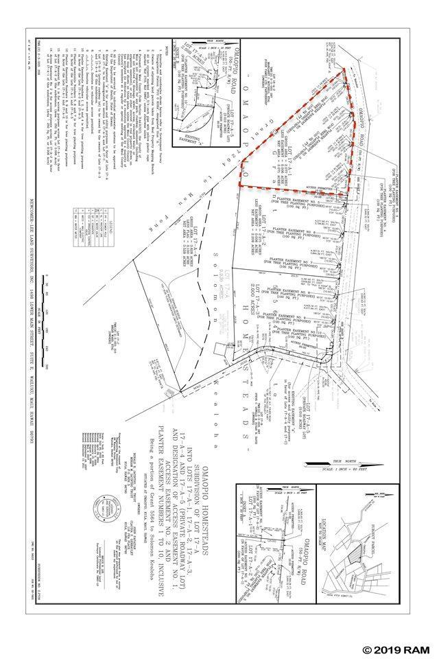 3155 Omaopio Rd - Photo 1