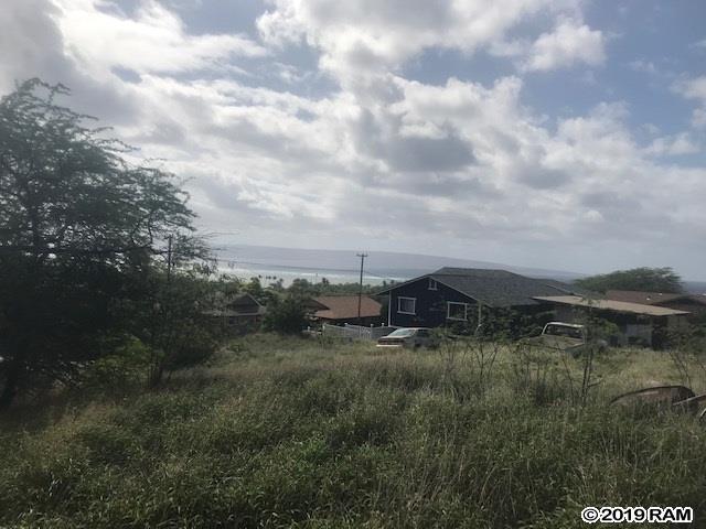 125 Kahinani Pl - Photo 1