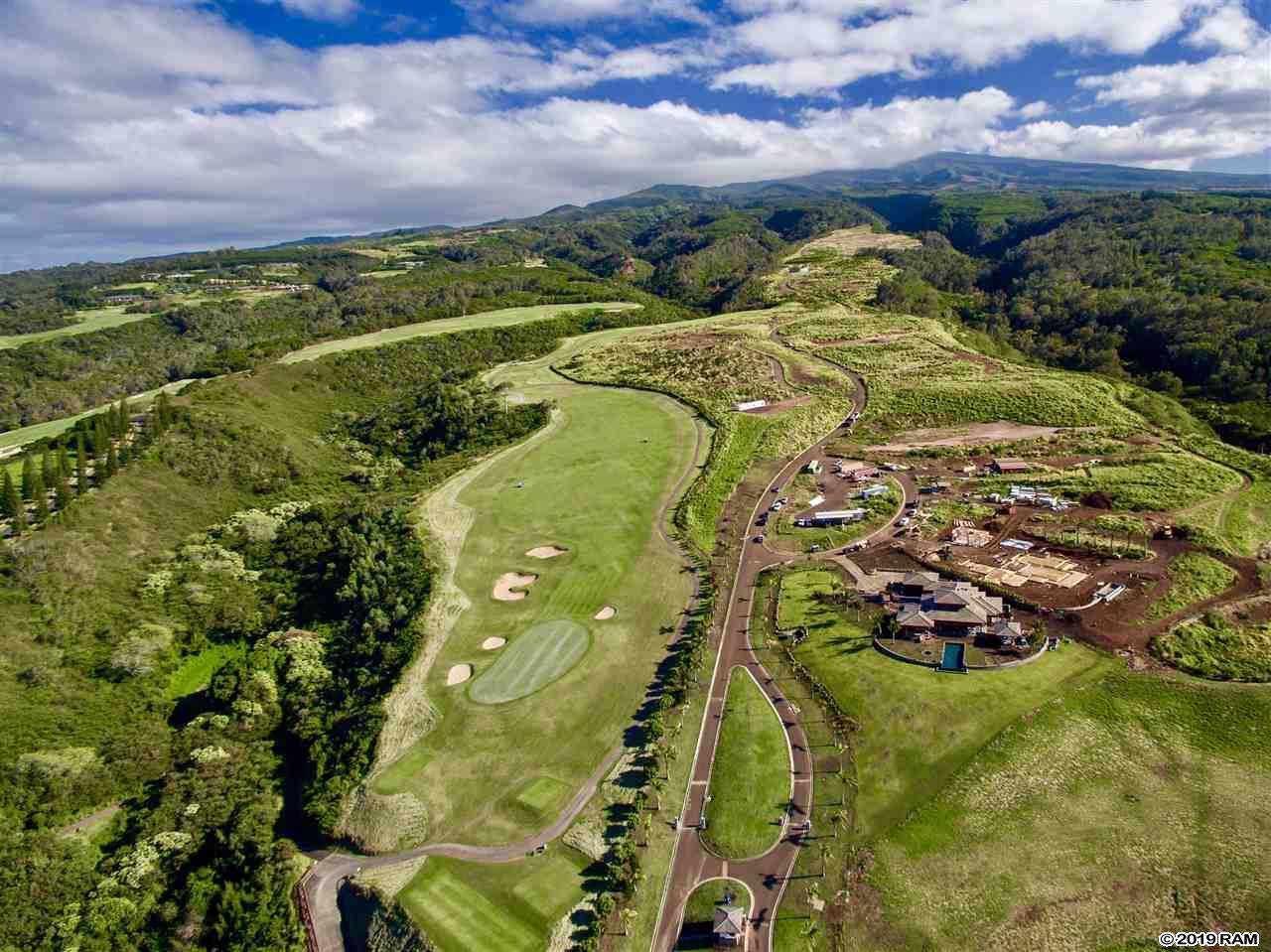 320 Mahana Ridge St - Photo 1