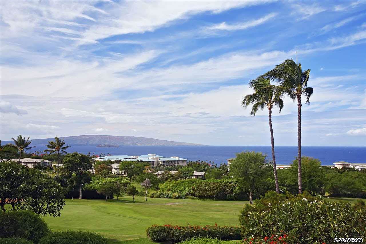 10 Wailea Ekolu Pl - Photo 1