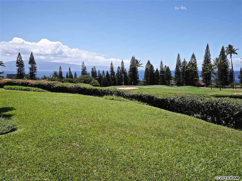 50 Puu Anoano St - Photo 1 50 Puu Anoano St - Photo 1