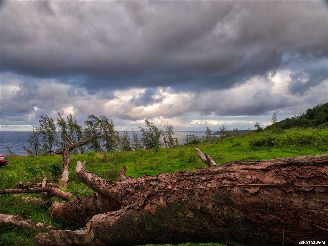 0 Lower Nahiku-Old Kings Hwy - Photo 1
