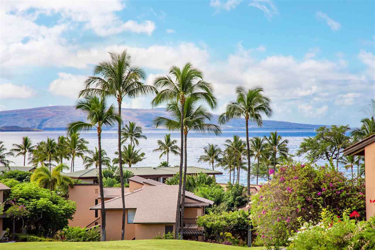 3300 Wailea Alanui Dr - Photo 1