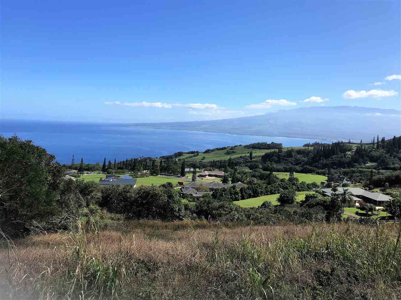 71 Lahaole Pl - Photo 1