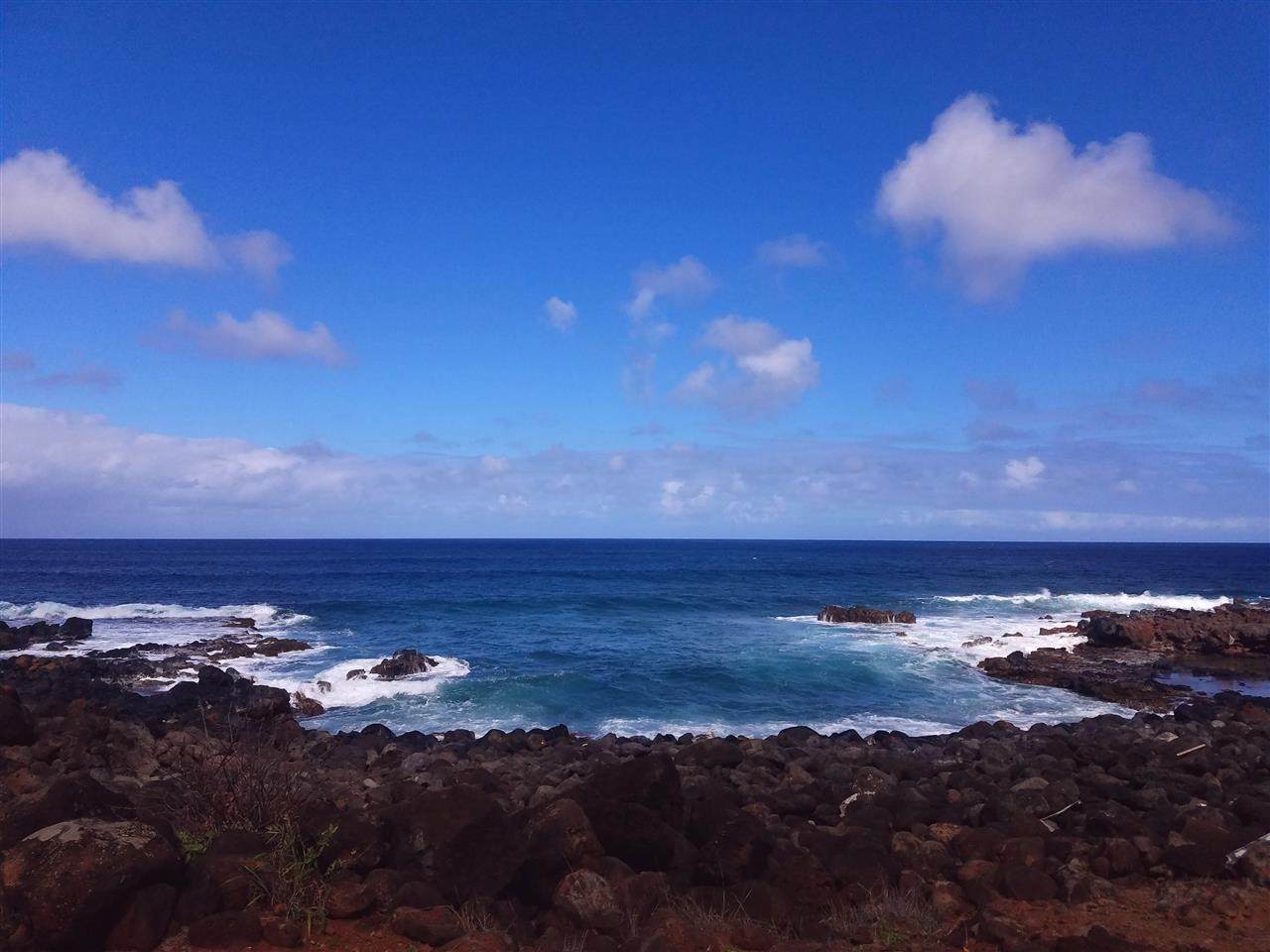 4260 Pohakuloa Rd - Photo 1