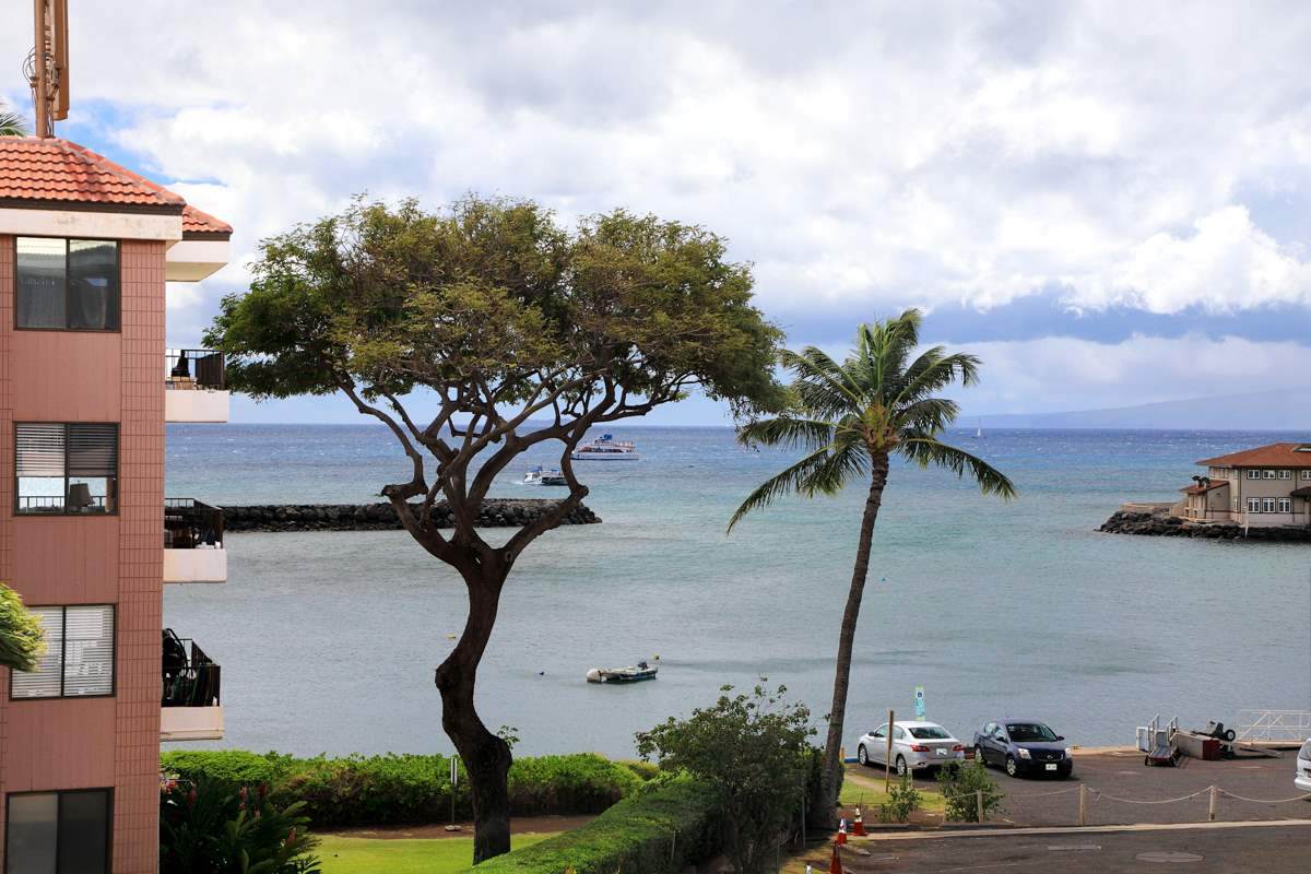 20 Hauoli St - Photo 1