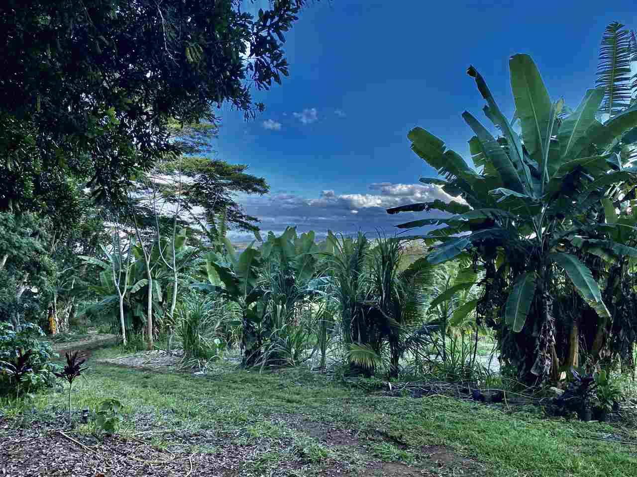 0 Malaihi Rd - Photo 1