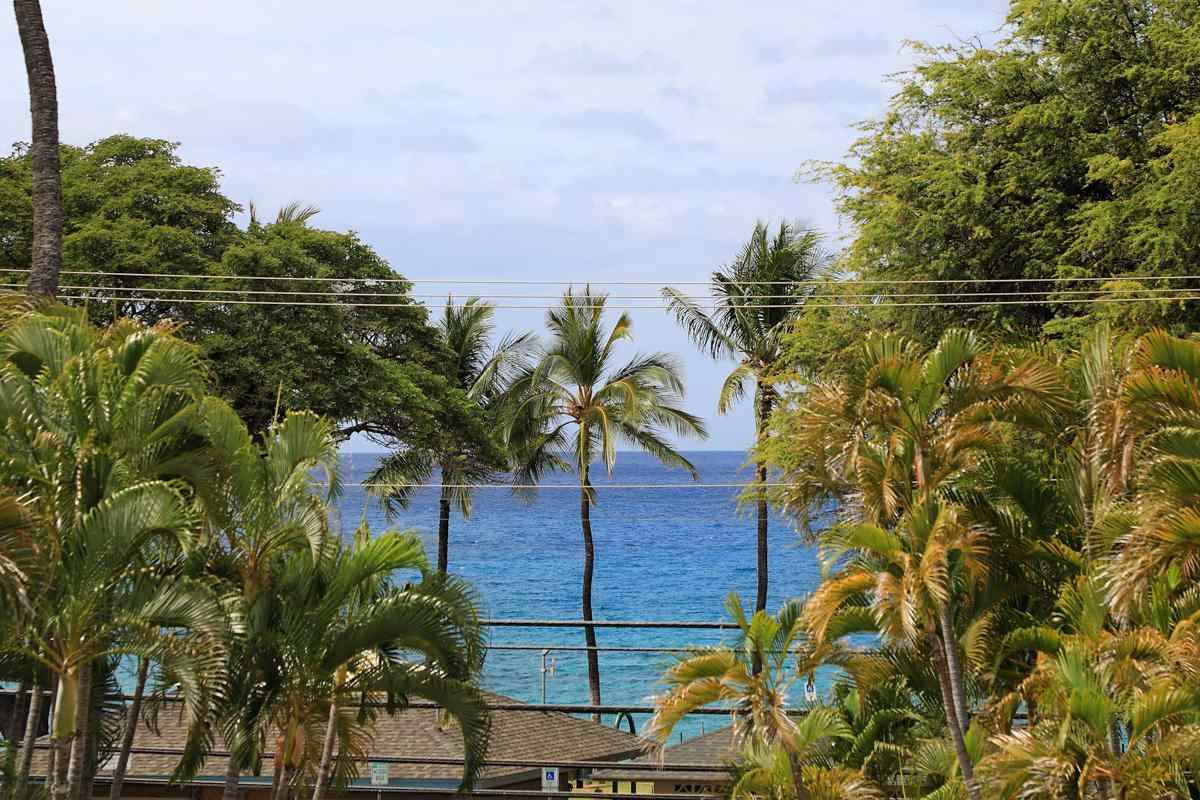 2653 Kihei Rd - Photo 1
