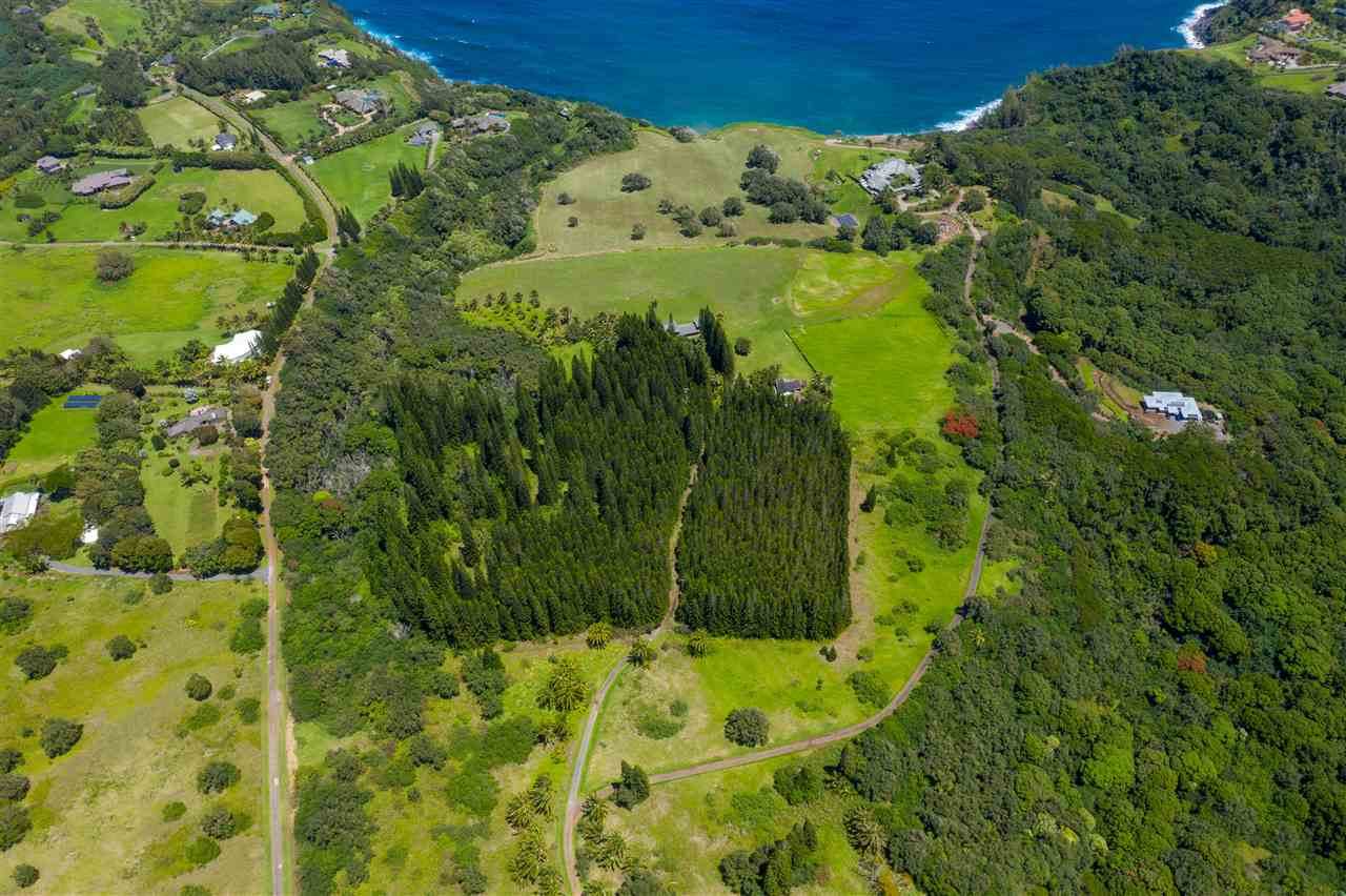 277 Mehana Rd - Photo 1 277 Mehana Rd - Photo 1