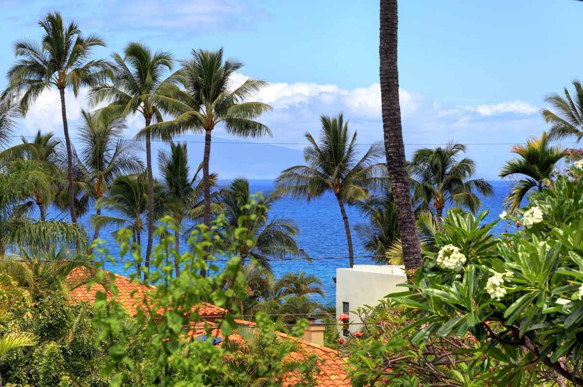 3300 Wailea Alanui Dr - Photo 1