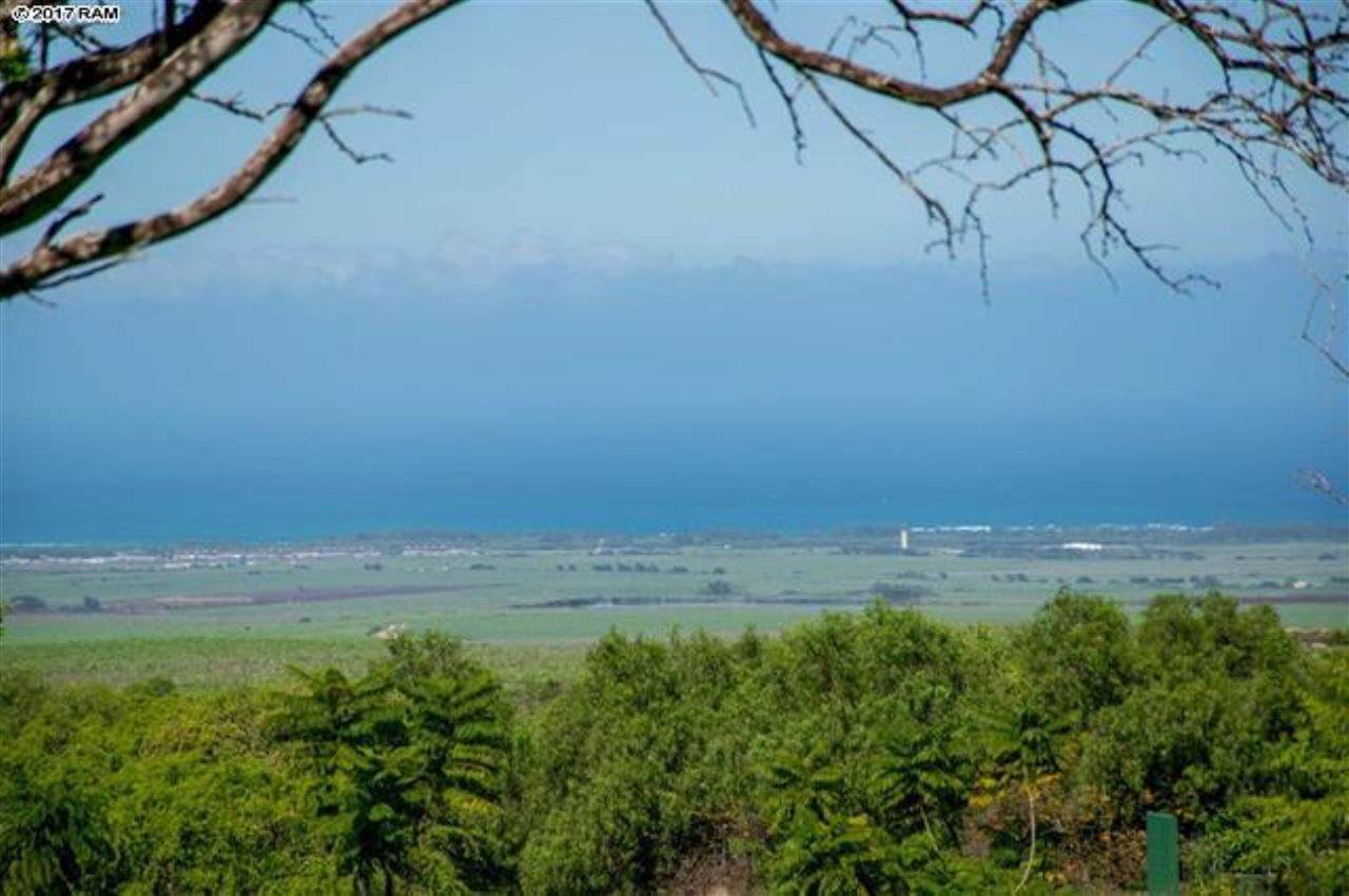 130 Ikena Kai Pl - Photo 1