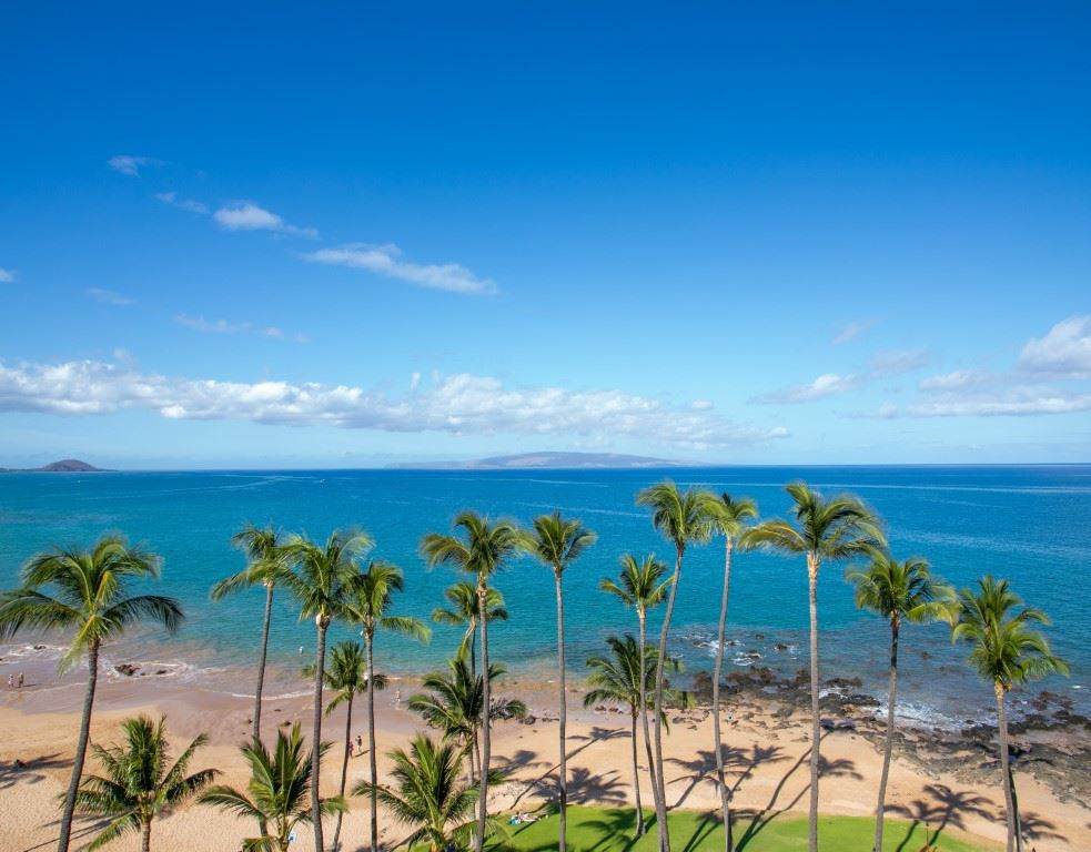 2960 Kihei Rd - Photo 1