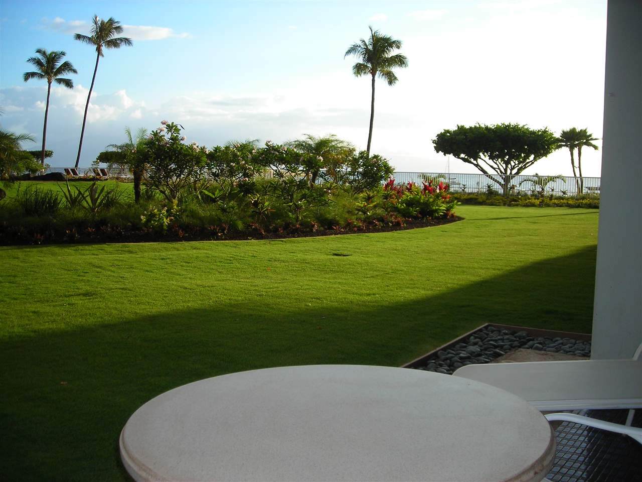 2481 Kaanapali Pkwy - Photo 1