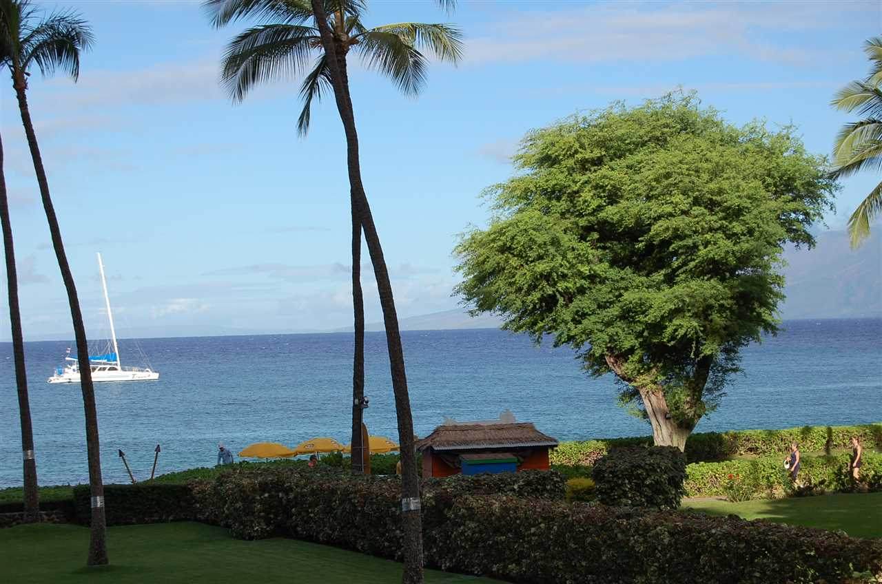 2481 Kaanapali Pkwy - Photo 1