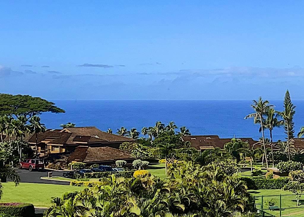 50 Puu Anoano St - Photo 1