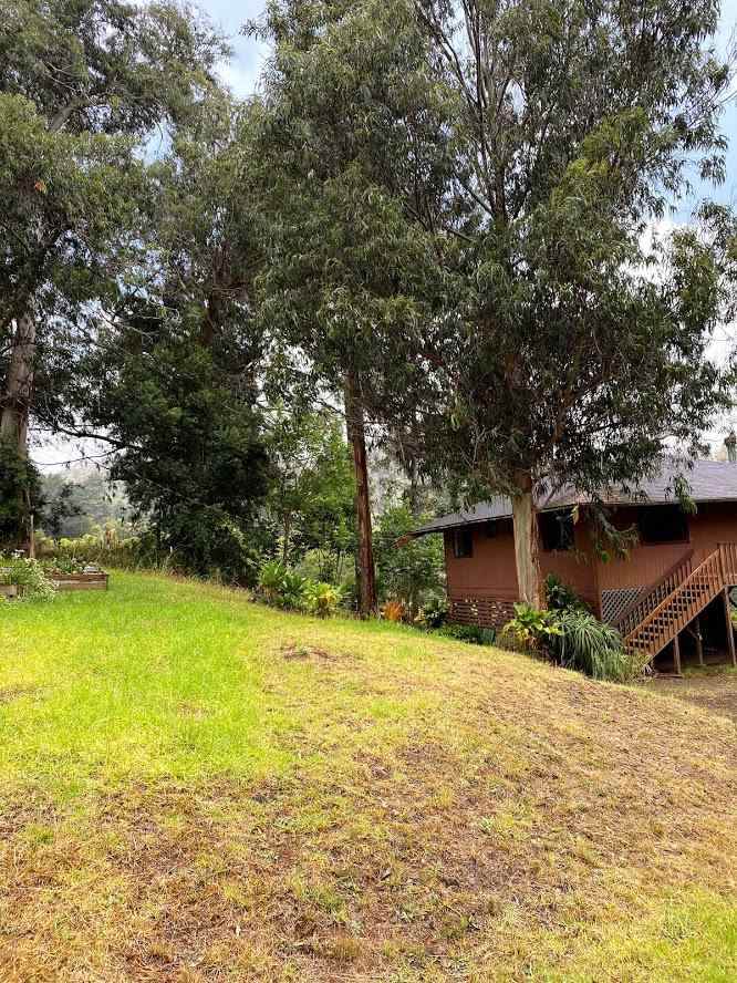 1064 Ehu Rd - Photo 1