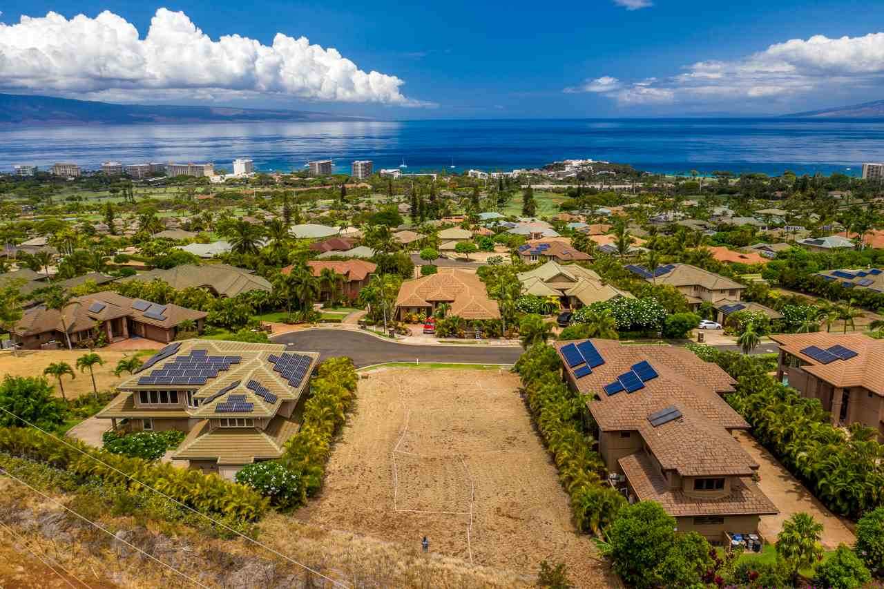 401 Wekiu Pl - Photo 1