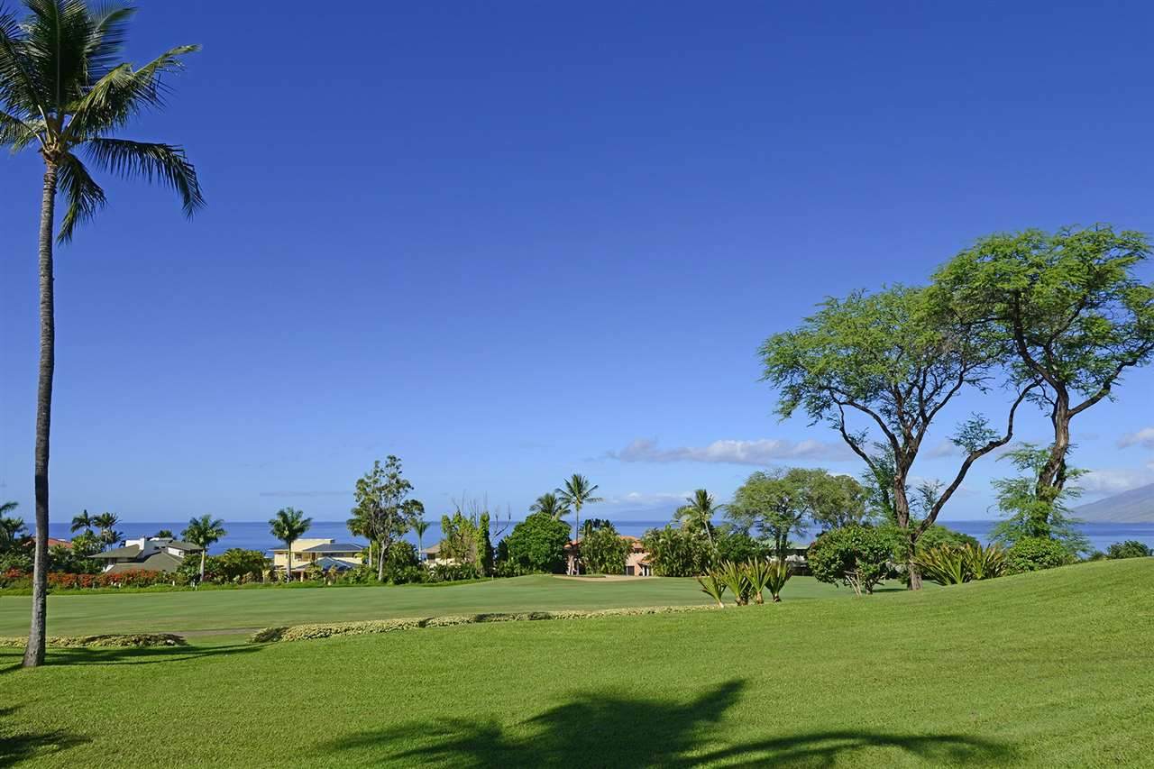 3950 Kalai Waa St - Photo 1