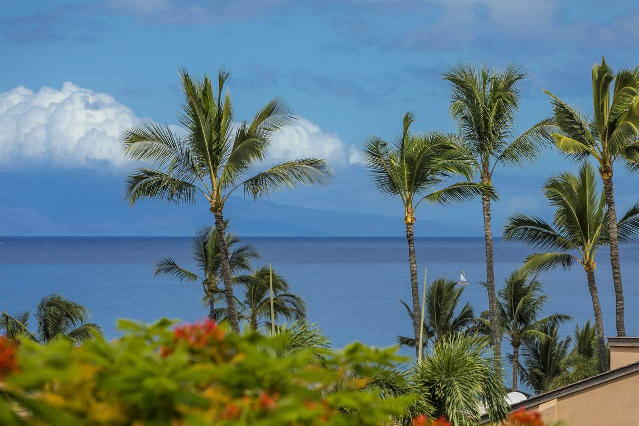 3300 Wailea Alanui Dr - Photo 1